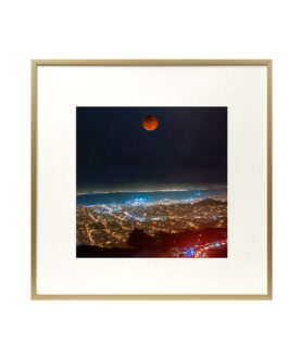 Foxin Wireless Model