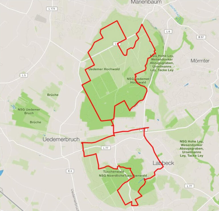 Hochwald-/Tüschenwald-Tour