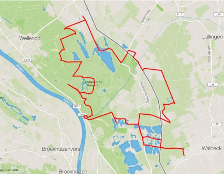 Maasduinen