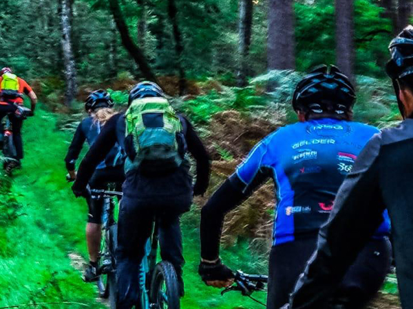 Gruppe_gruener_Wald