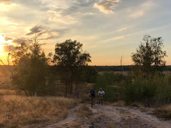 Maasduinen